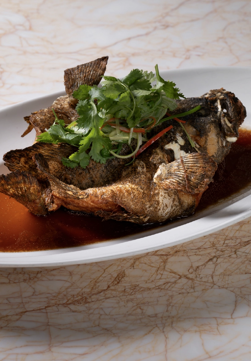 Dragon Tiger Grouper